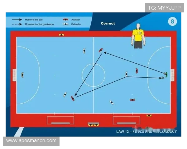 南京足球队灵活性分析与战术适应性研究探讨