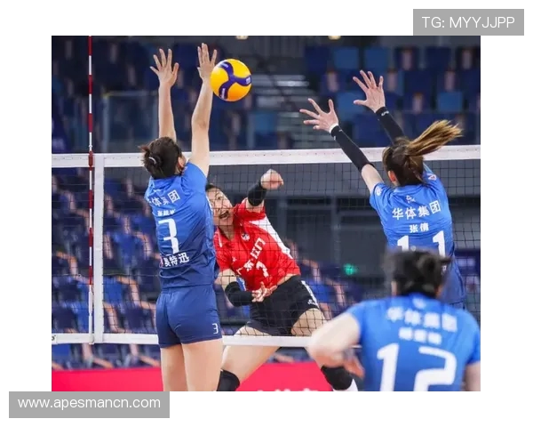 排球热议:深圳排球队的速度争议