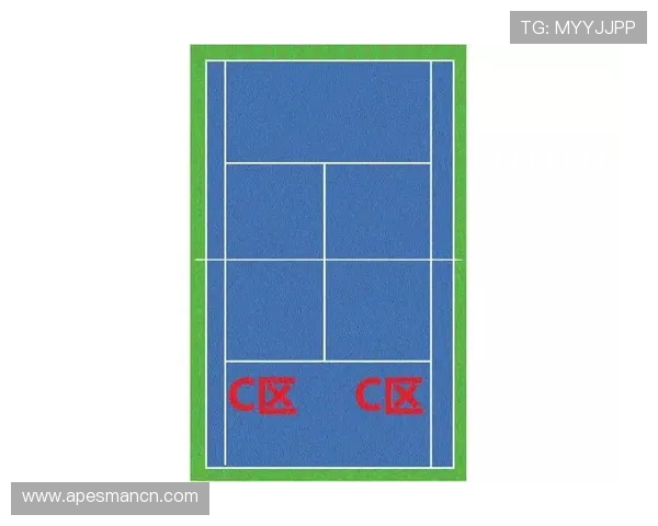杭州网球队节奏表现分析与提升策略探讨