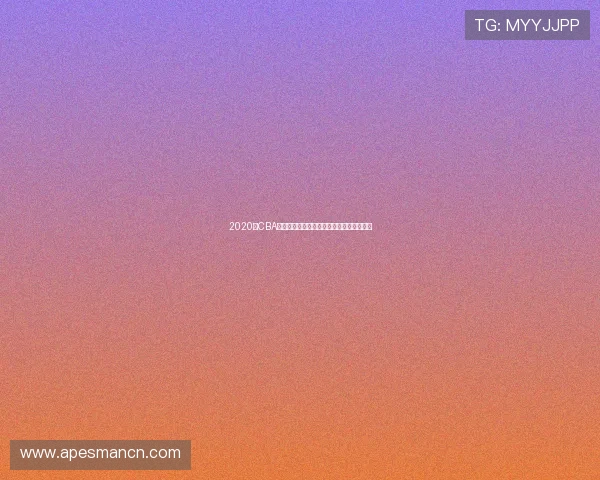 2020年CBA季后赛广东队与浙江队精彩对决回顾与分析