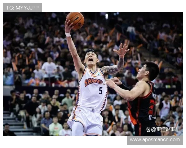 CBA广东队与福建队精彩对决全程回顾与分析